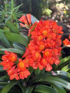 Change Is In The Air For B2B Content Strategy - Forrester