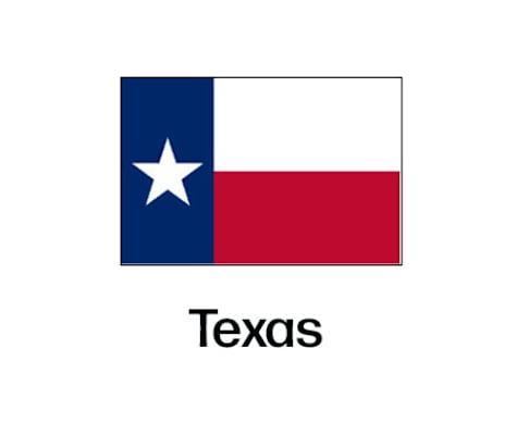 State of Texas Contract Listing Page