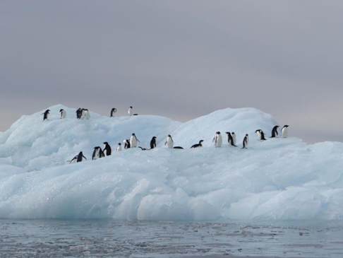 בית | Shelley is in