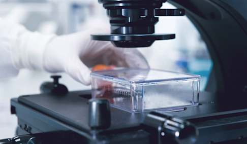 Cell and gene therapy forecasting: Critical factors to getting it right