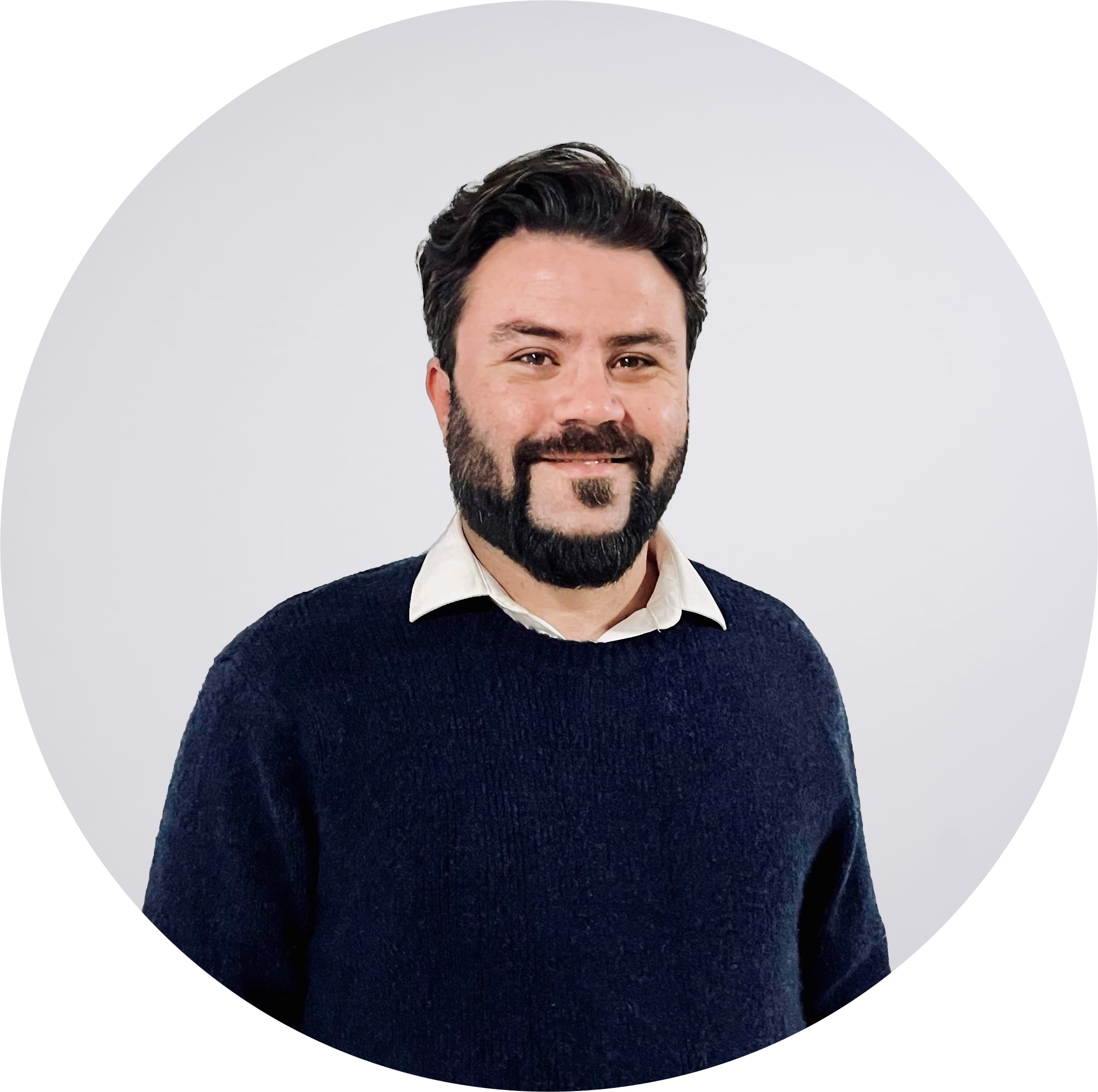 model-insurer-overview-celent