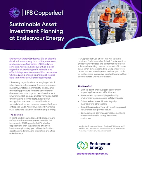 Endeavour Energy Success Story