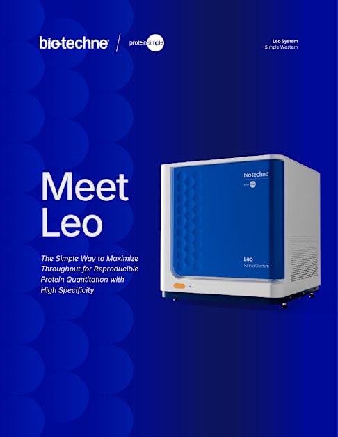 Meet Leo