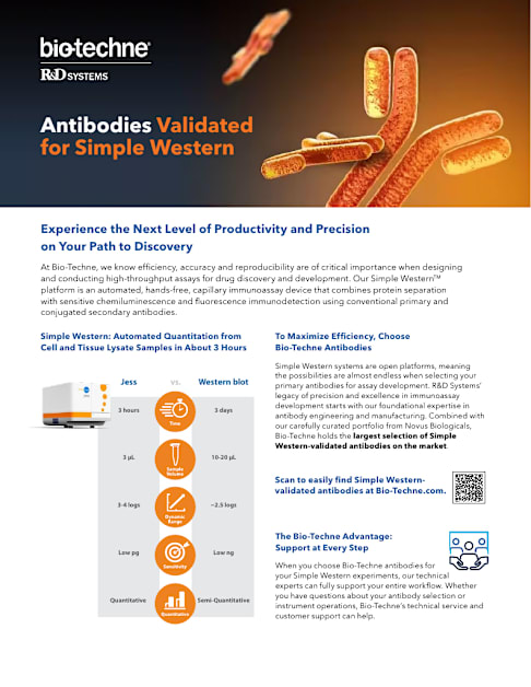 Antibodies Validated for Simple Western