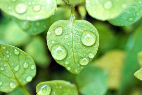 On Demand Webinar: Identifying the Value: Retrofitting SuDS in Urban Landscapes