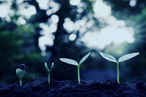 60% of Consumers Want Sustainable Home Delivery | Descartes