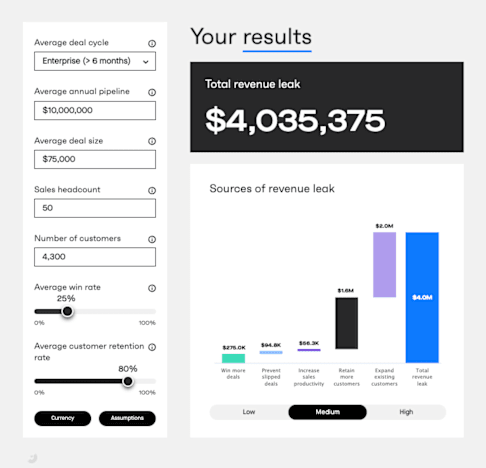 Revenue leak assessment - screenshot