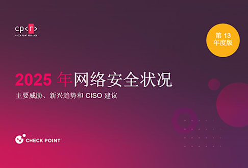 2025 年网络安全报告 / Check Point Software