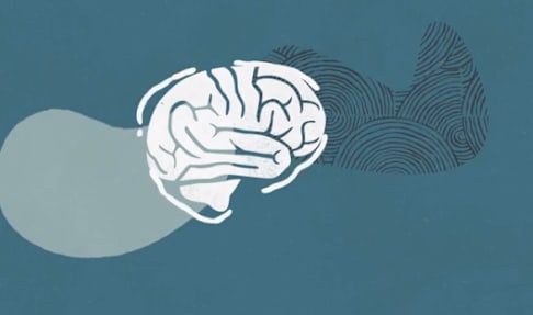 Navigating Uncharted Demand: Oracle Retail Inventory Optimization