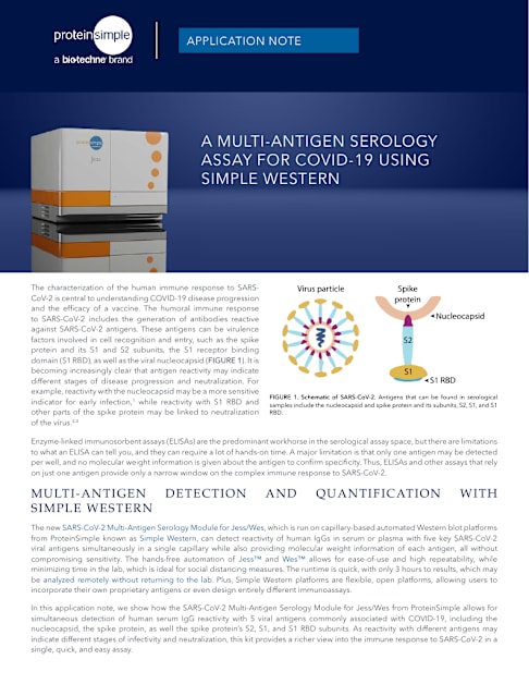 Multi-Antigen Serology Assay using Simple Western
