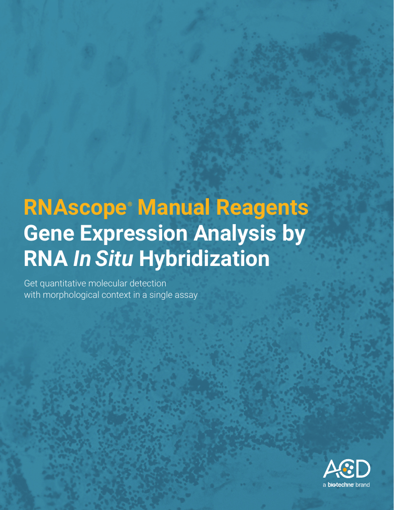 An Overview of the RNAscope Technology BioTechne